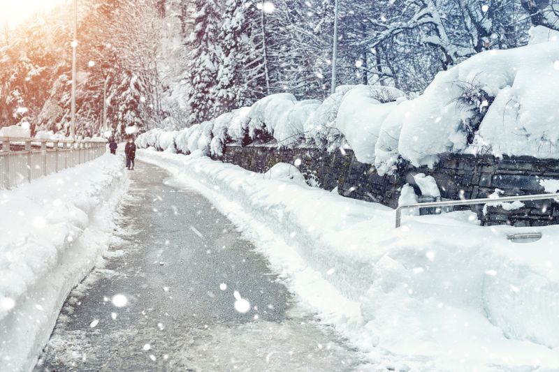 Road and Access Path Clearing