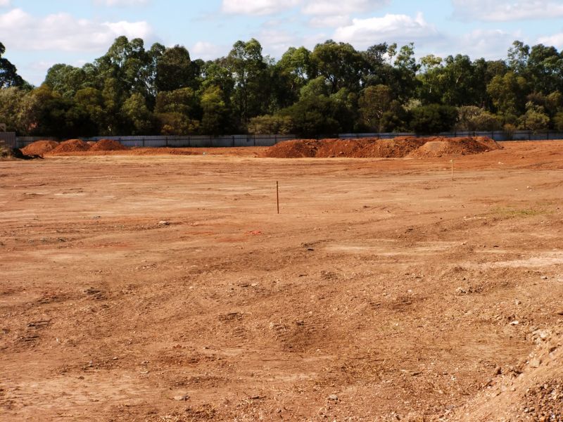 Cleared Property Views