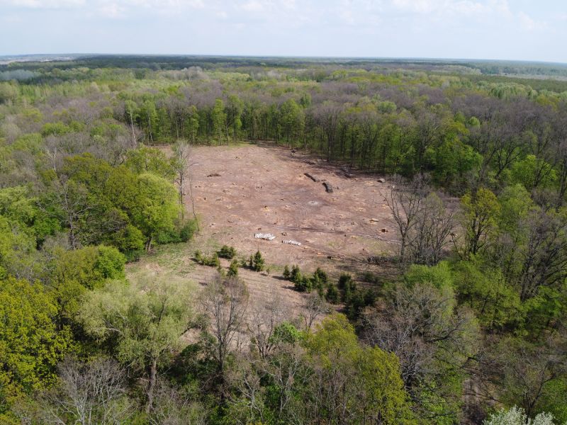 Land Clearing Planning