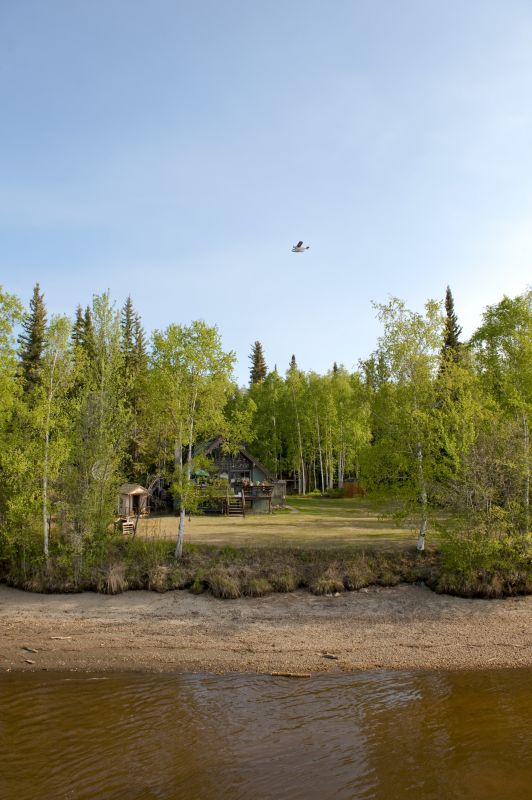 Environmental Land Clearing Services