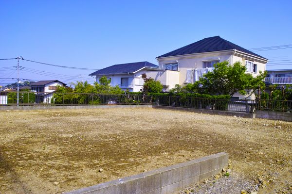 Cost of Lot Clearing Service in Brownsville