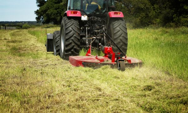Cost of Brush Clearing Service in Brownsville