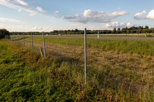 Cost of Property Line Clearing in Brownsville