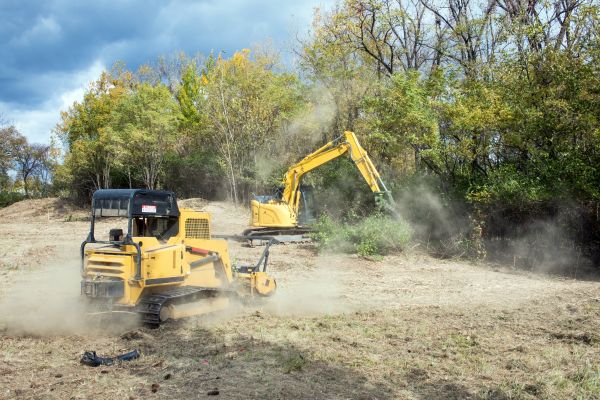 Cost of Terrain Clearing in Brownsville